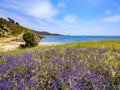 Punta Libeccio Cala Angioni beach, Domus de Maria, Sardinia, Italy